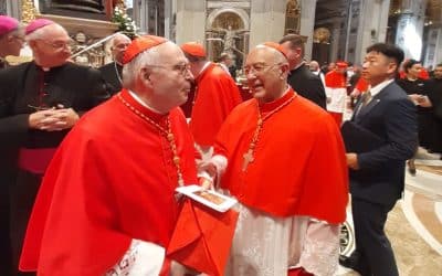 20 Nuevos cardenales impulsados por el fuego del Espíritu a preocuparse, con valentía, de las cosas grandes y pequeñas