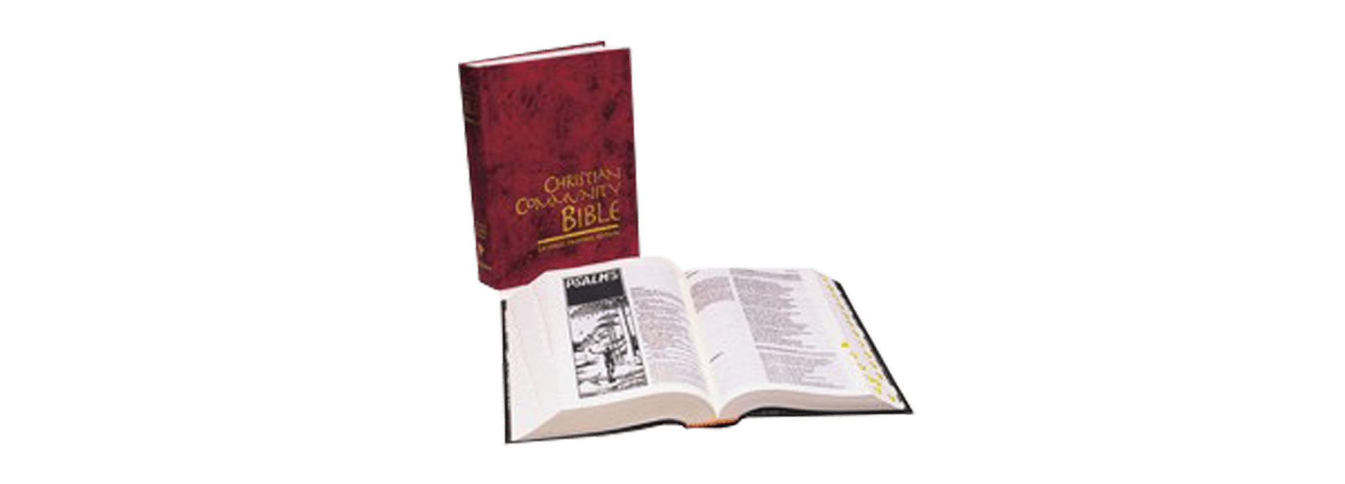 Open Bible 1