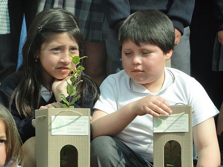 Campaña “Un Árbol, un niño, un futuro”